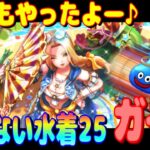 【ドラクエウォーク】あぶない水着25装備ガチャ