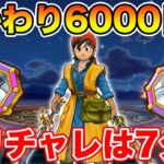 【ドラクエウォーク】もう3連休が終わってしまうんだけど…え???【DQW】