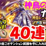 【ドラクエウォーク】神鳥の翼斧ガチャをチケットと有償で合計40連まわします
