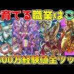 【ドラクエウォーク】今優先して育てる職業はこれ！！9,300万経験値全部使う価値あり！！