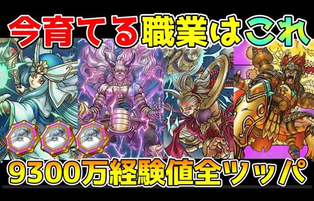 【ドラクエウォーク】今優先して育てる職業はこれ！！9,300万経験値全部使う価値あり！！