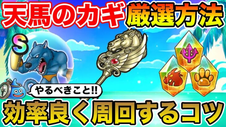 【ドラクエウォーク】天馬のカギ厳選方法と効率良く周回するコツ！ 夏イベントで絶対やるべきこと！【DQW】