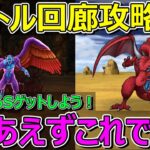 【ドラクエウォーク】バトル回廊攻略①とりあえずエイトのこころSまでがんばりましょう！
