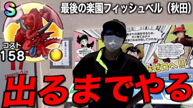 半年間S無し男と共に挑む竜神王S出るまで帰れま10【ドラクエウォーク】【ドラゴンクエストウォーク】