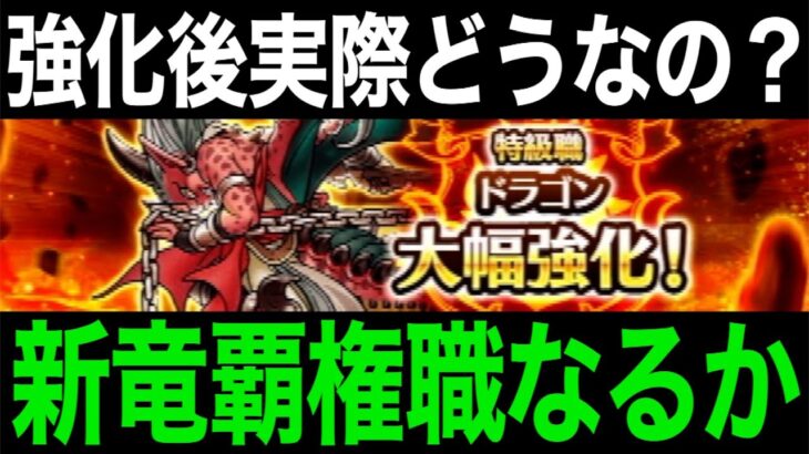 結局大幅強化されたドラゴンどうなの？数日間使ってみた結果・・・【ドラクエウォーク】【ドラゴンクエストウォーク】