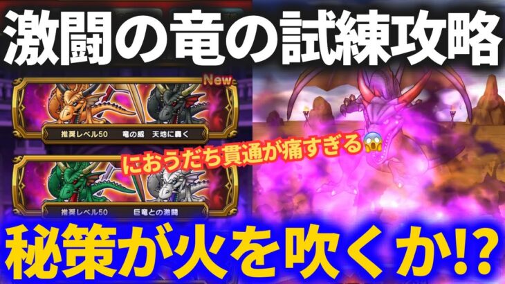 【ドラクエウォーク】バトル回廊・竜の試練攻略！！とある秘策が火を吹くか！？【におうだち貫通やめてくれ……涙】