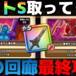 【ドラクエウォーク】バトル回廊〜終〜最終攻略。オレが出せる攻略はコレが限界。