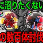 期間は被ってるが両方最強格…！レオパルド・竜神王討伐結果がヤバい【ドラクエウォーク】【ドラゴンクエストウォーク】