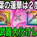太陽の蜃気楼爆誕。その時、世界は光で満ち溢れた…！【ドラクエウォーク】【ドラゴンクエストウォーク】