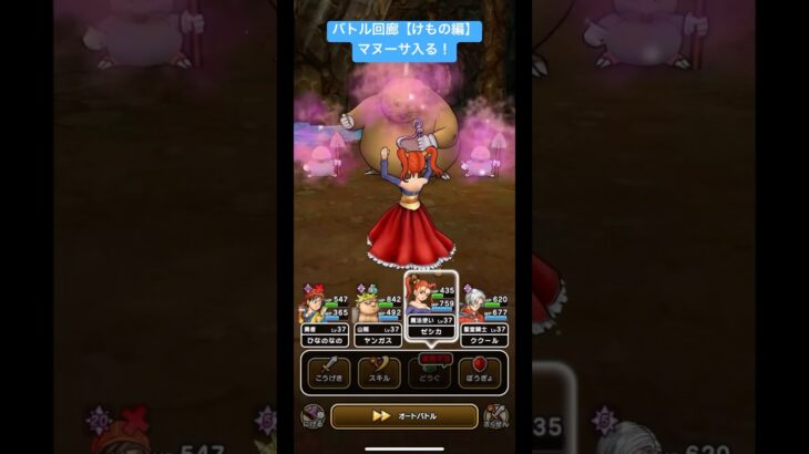 バトル回廊【けもの編】マヌーサ入る！#ドラクエウォーク #バトル回廊