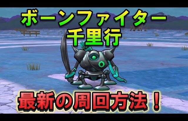 【ドラクエウォーク】ボーンファイター千里行を超安定周回