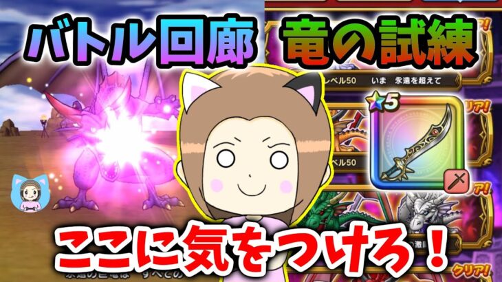 バトル回廊「竜の試練」を魔刃１本で撃破！立ち回りここに気を付けて！【ドラクエウォーク_vol.440】
