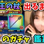 けぇ氏のガチャ鑑賞会！竜神王の杖出るまで引いたら…哀しい夏の物語の始まりでした【ドラクエウォーク_vol.444】