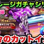 【ドラクエウォーク】久々のカットインの結果は！？マイレージガチャシリーズ第153弾！