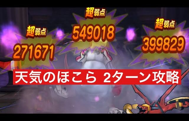 天気のほこら 2ターン攻略 【ドラクエウォーク】 アルゴングレート