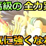 【ドラクエウォーク】一気に強くなれる最高の期間！前夜祭イベント25で絶対やるべきこと！