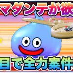 【ドラクエウォーク】ブルフィオーレ70連！めちゃくちゃ強いらしいぞ！