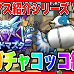 【ドラクエウォーク】永久保存版/第9弾グラマスパーティ紹介2025〜ガチャコッコ編〜/最強/仲間モンスター/グランドマスター【ファンキーズGAME】