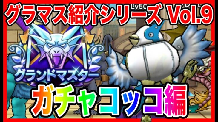 【ドラクエウォーク】永久保存版/第9弾グラマスパーティ紹介2025〜ガチャコッコ編〜/最強/仲間モンスター/グランドマスター【ファンキーズGAME】