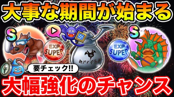 【ドラクエウォーク】大事な期間が始まります!! 大幅強化のチャンス…要チェックです!!【DQW】