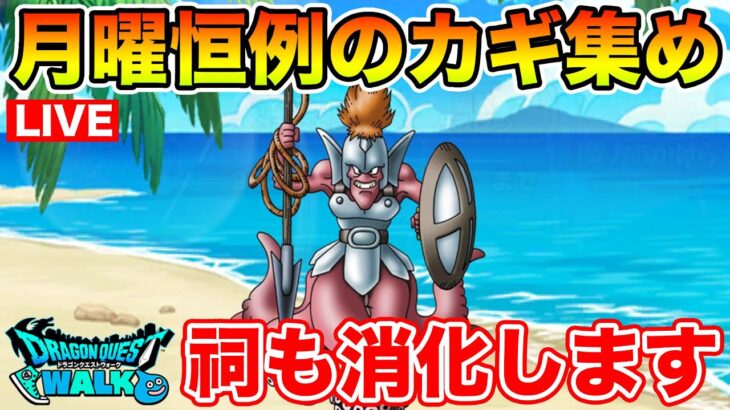 【ドラクエウォーク】週末の花火大会に向けて今日もがっつり周回します!!【DQW】