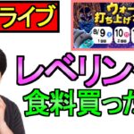 【ドラクエウォーク】花火大会 レベリング 食料 雑談 【攻略】
