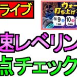 【ドラクエウォーク】花火大会 レベリング 周回雑談 【攻略】