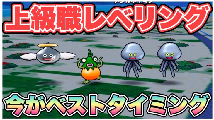 【ドラクエウォーク】このアイテムすごすぎる。何個も欲しい！