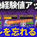【ドラクエウォーク】超絶経験値アップ！！○○勢はこれ使おう！！＆花火大会で絶対にやってはいけないこと！！【花火大会】