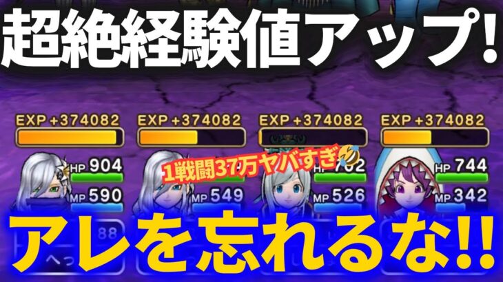 【ドラクエウォーク】超絶経験値アップ！！○○勢はこれ使おう！！＆花火大会で絶対にやってはいけないこと！！【花火大会】