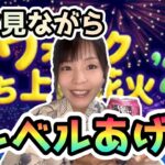【ドラクエウォーク配信】花火ながめながらレベル上げ！！！たーまーやー！！！