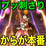 持ってたら狂気乱舞確定…！ここからが夏の本番です。【ドラクエウォーク】【ドラゴンクエストウォーク】