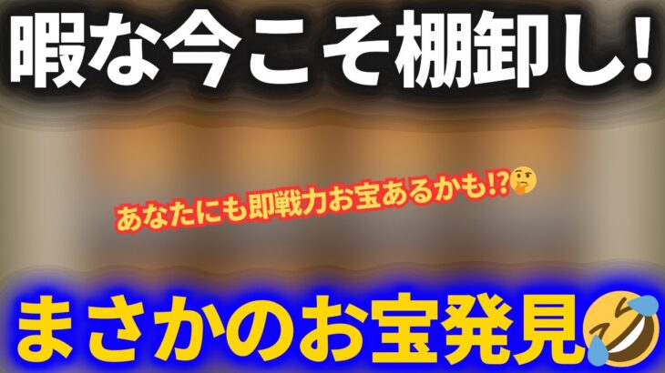 【ドラクエウォーク】暇な今こそ棚卸ししたほうがいいぞ！即戦力のお宝を大発見しました！！【なかまモンスター】