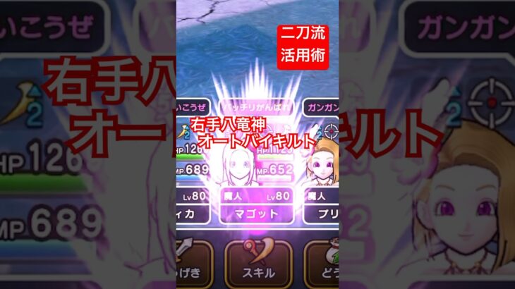 【ドラクエウォーク】二刀流活用術！オートバイキルト。