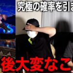 夏の星５確定ガチャ＋水着に最高の思い出を求めた結果、、、【ドラクエウォーク】【ドラゴンクエストウォーク】