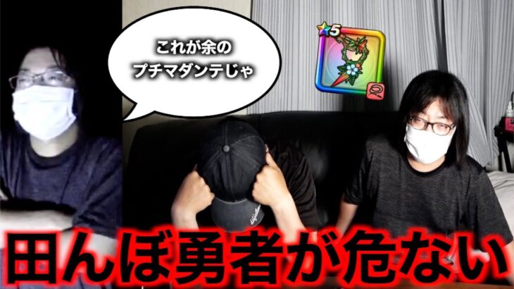 デスメガネがゆずにプチマダンテを見せつけた結果。。。【ドラクエウォーク】【ドラゴンクエストウォーク】