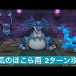 天気のほこら 雨 2ターン攻略 【ドラクエウォーク】 リザードファッツ