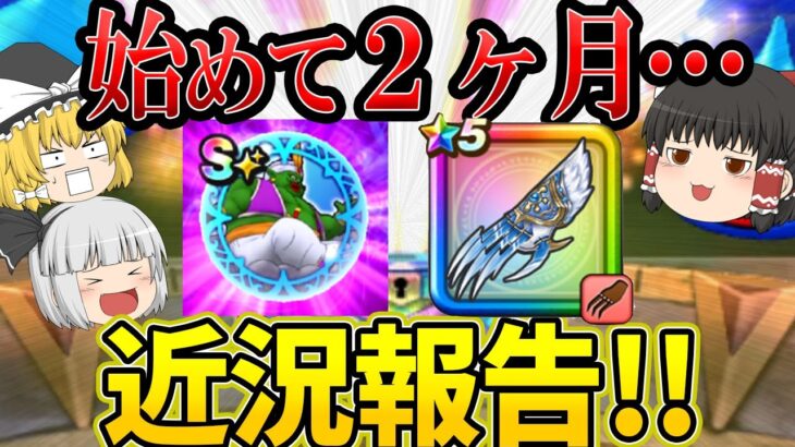 ドラクエウォーク2か月経過！果たしてちゃんと成長できたのか？【ゆっくり実況】