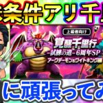 【ドラクエウォーク】６周年SP千里行！少なくとも片方覚醒する、、、？まで生放送！！！