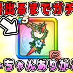 【ドラクエウォーク】【バーバラ装備】武器出るまでガチャ！トトちゃんありがとう。【dqw】【ドラクエウォークガチャ】