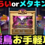 【ドラクエウォーク】２つの構成でごくらくちょう攻略。
