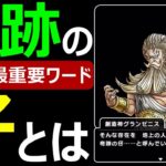 【ドラクエウォーク】奇跡の仔を徹底的深堀！【ストーリー解説】