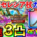 【ドラクエウォーク】ぶっ壊れ回復武器！女神セレシアの杖を初日に３凸フルコンプする生放送
