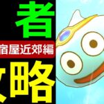 【ドラクエウォーク】リッカの宿屋近郊編完全攻略【勇者スライム】