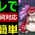 【ドラクエウォーク】晴れ祠アルゴングレートはアレを持ってって!!【制限祠対応版】