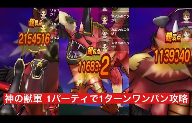 神の獣軍 1パーティで1ターンワンパン攻略 【ドラクエウォーク】