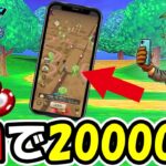 【ドラクエウォーク】カジノコインを1日で20000枚集めた方法！復帰したらこんなものが実装されていた・・！