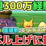 【ドラクエウォーク】新規勢さんや復帰勢さんは特にオススメです！毎週のレベル上げ効率が上がる300万経験値獲得が激アツです！【DQウォーク】