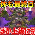 【ドラクエウォーク】もう3連休が終わります…ドラぽか上級クリアを目指して!!【DQW】