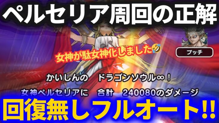【ドラクエウォーク】ペルセリア周回は回復無しフルオートが大正解でした！！【メガモンスター】【6周年】